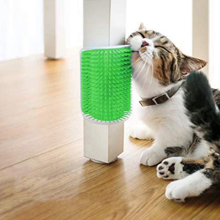 Escova Massageadora de Gato com Catnip Verde