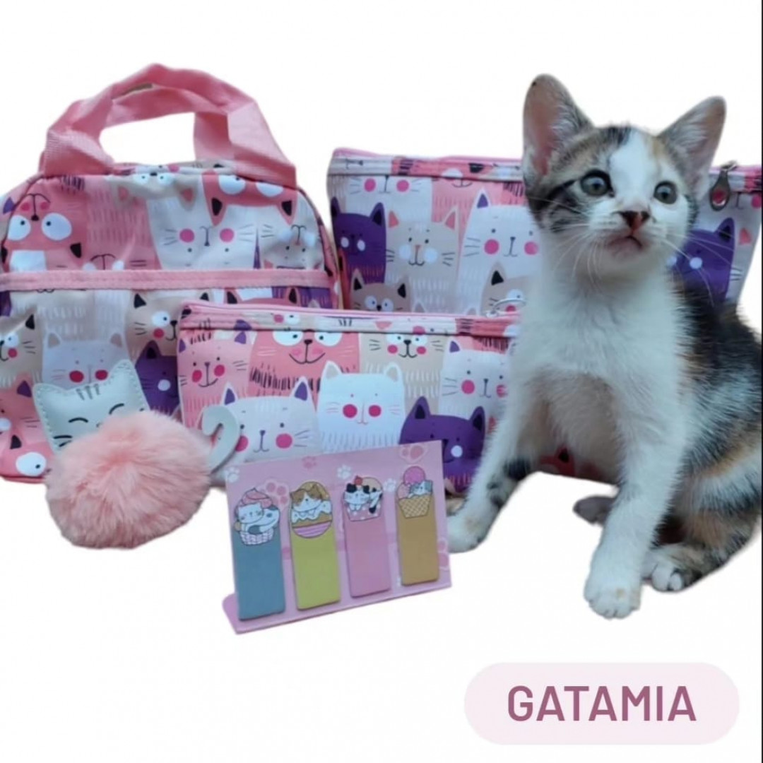 💞Jogo da velha 🐱 Esse é de gatinho, mas dá pra fazer de outros modelos 🙂  Quer um?? ⬆️⬆️ Muita fofura ♥️♥…