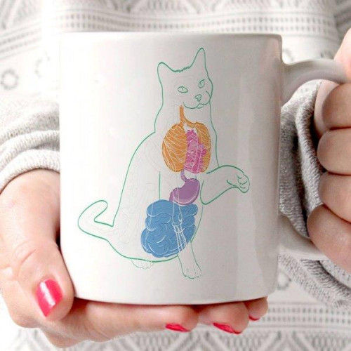 Caneca Anatomia gato