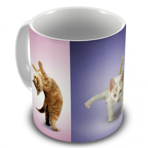 Caneca gatos Yoga