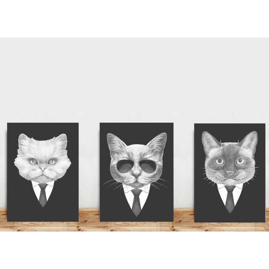 Kit 3 Placas Gatos De Gravata