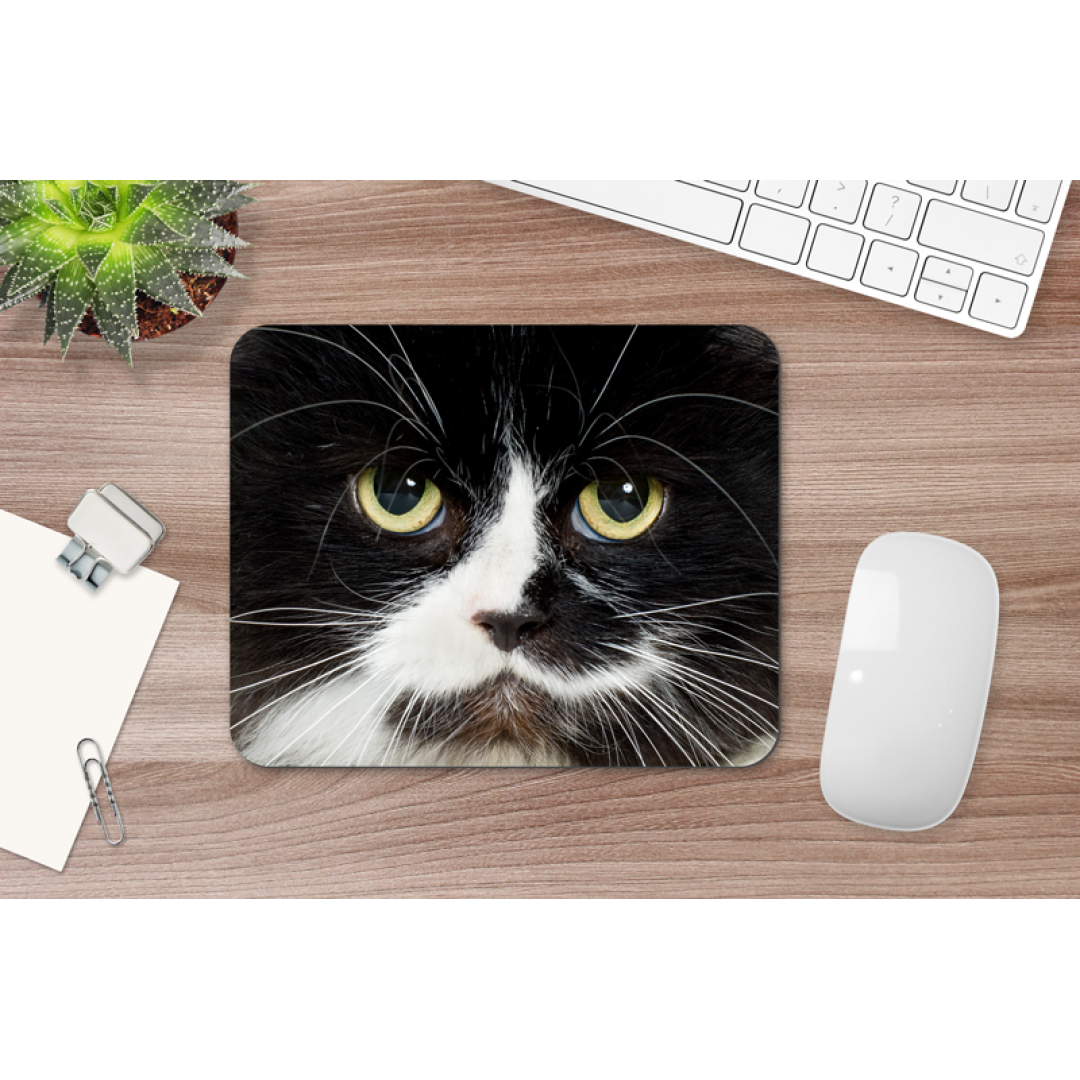 Mouse pads para jogos, mouse tapete, gato animal animal doméstico branco  gatinho fofo