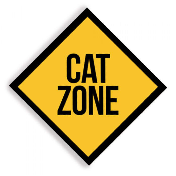 Plaquinha Decor Cat Zone