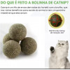Patinha de brinquedo para gatos com Catnip natural
